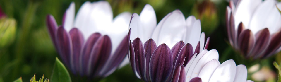 电报群卡密的ddos攻击防御手段