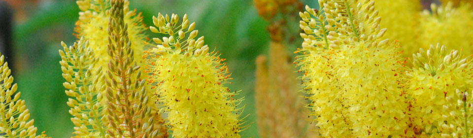 攻击网站在线工具