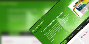 Web漏洞扫描工具